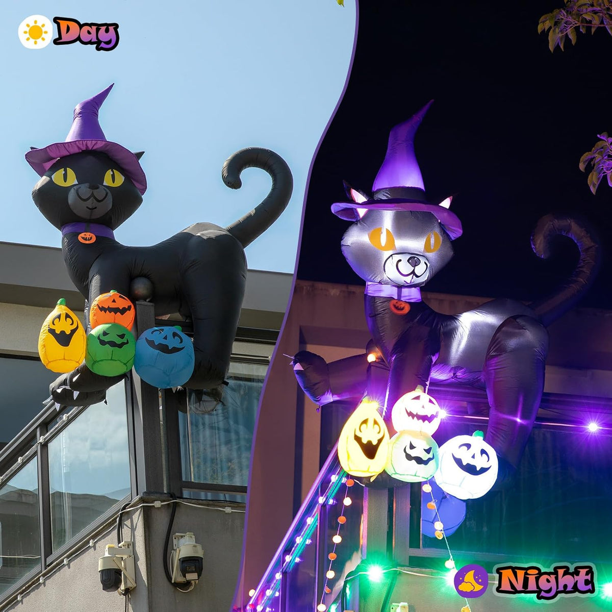 Black Cat with Pumpkins Inflatable