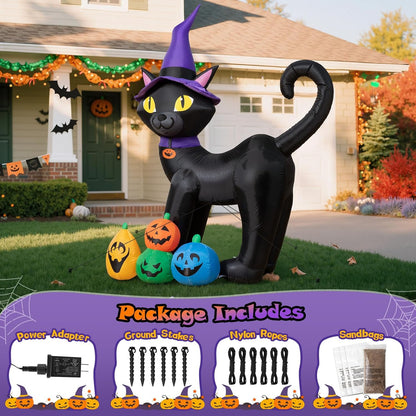 Black Cat with Pumpkins Inflatable